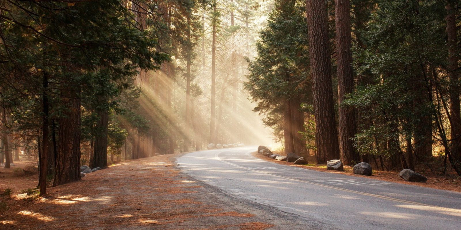 کاملا ریسپانسیو در تمامی دستگاه ها